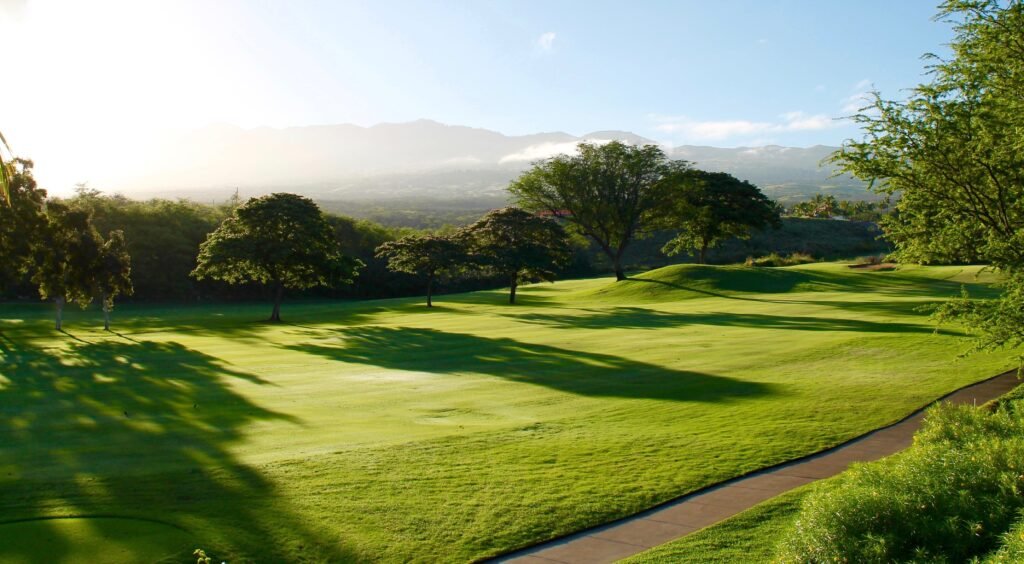 How Do I Manage My Golf Game? How Do I Manage My Golf Game?